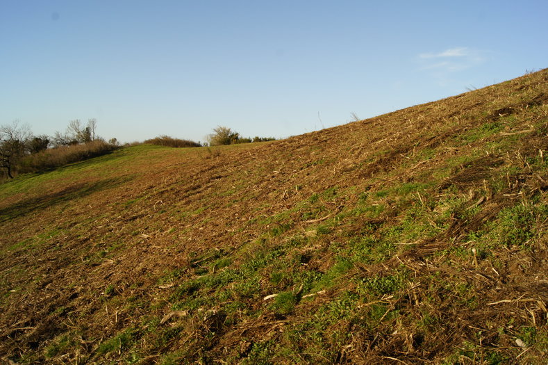 Quand on vous dit que ça penche... Quand on vous dit que ça penche...